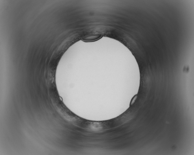 X0000110710091200907101254