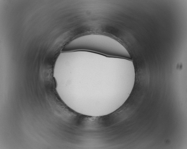 X0000110710092200907101254