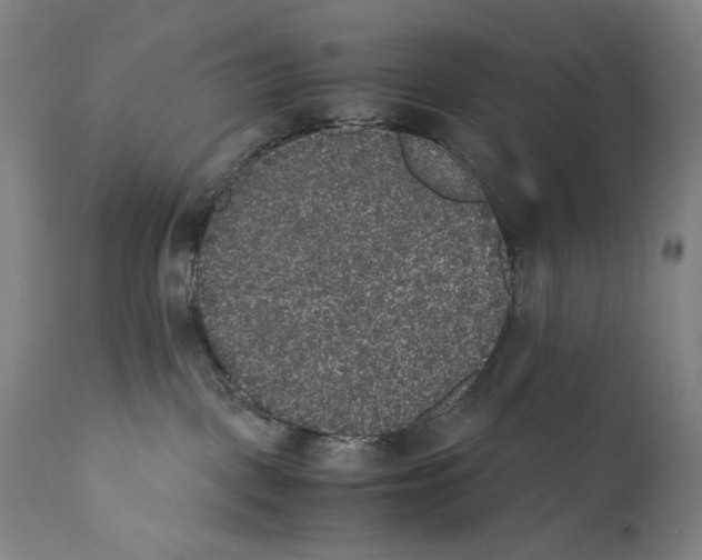 X0000110710093200907101254