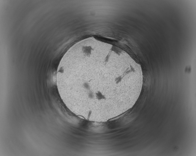 X0000110710095200907101254