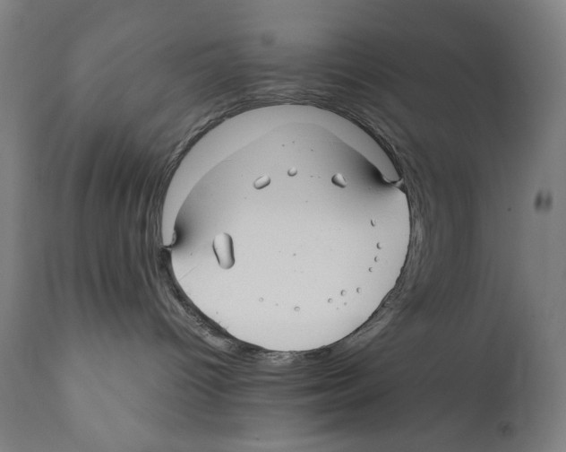 X0000110710096200907101255