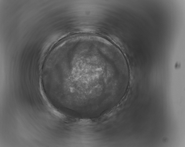 X0000110710097200907101254