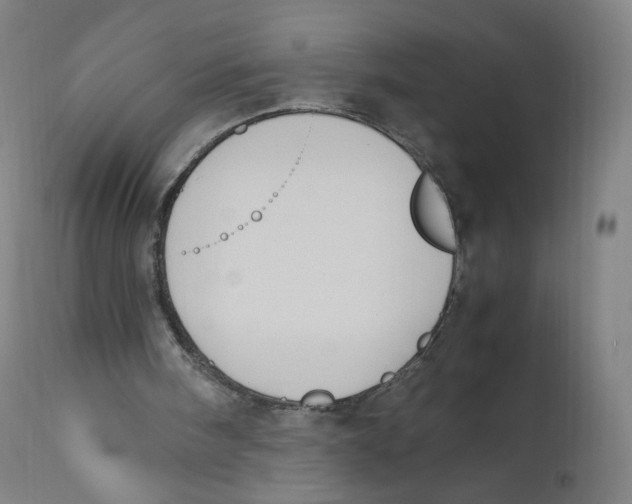 X0000110710098200907101254