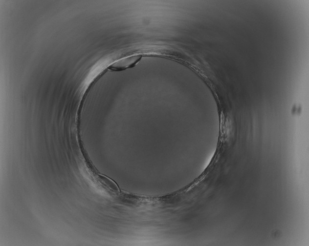 X0000110710099200907101254