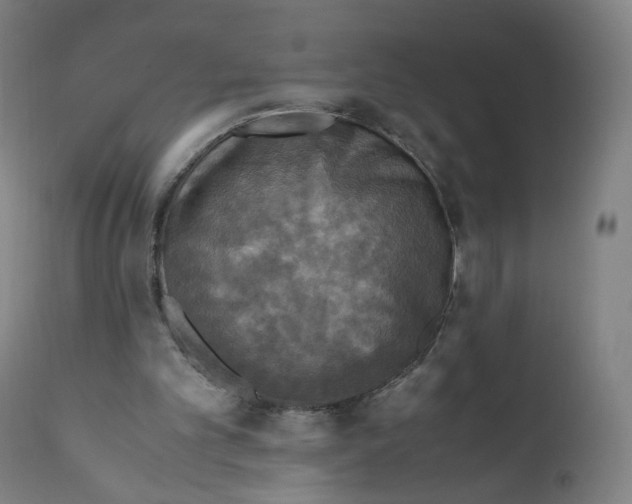 X0000110710101200907101254
