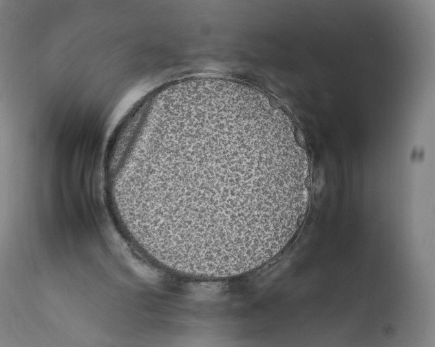 X0000110710102200907101254