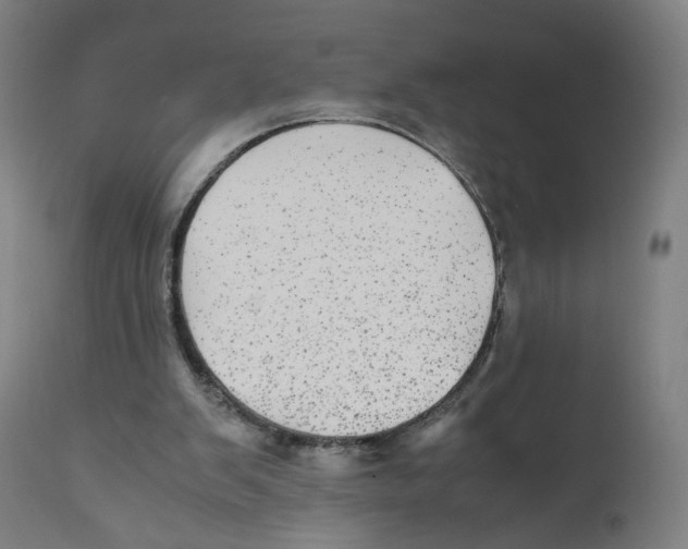 X0000110710103200907101254