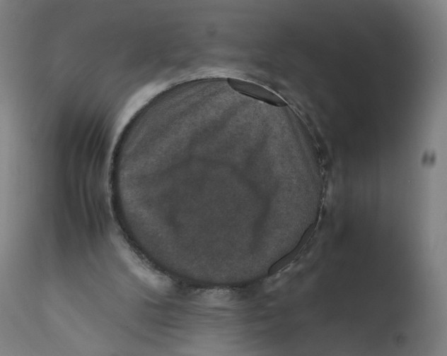 X0000110710104200907101253