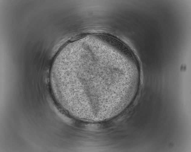 X0000110710105200907101253