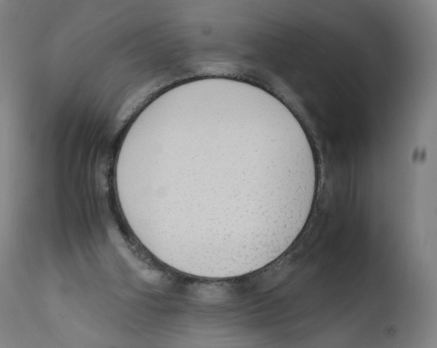 X0000110710106200907101253