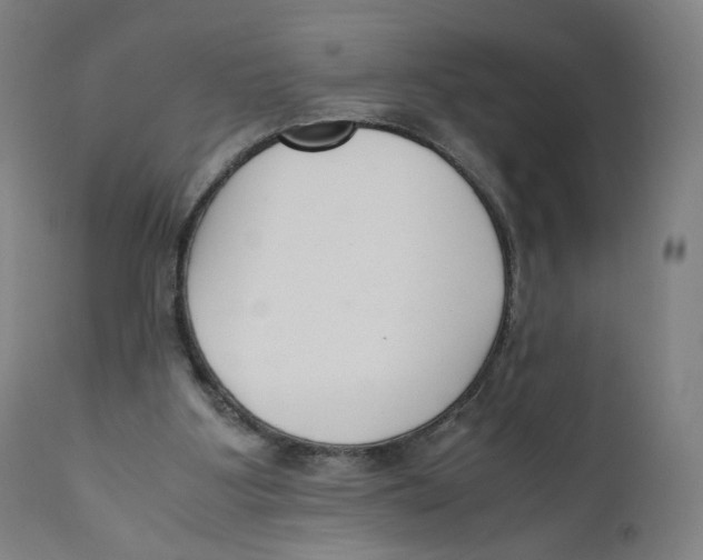 X0000110710107200907101253