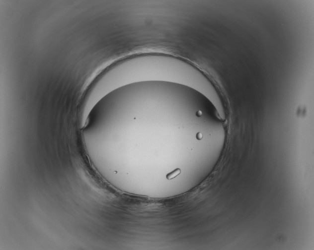 X0000110710108200907101253