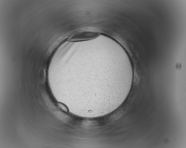 X0000110710109200907101253