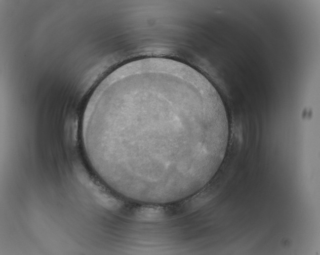X0000110710110200907101253