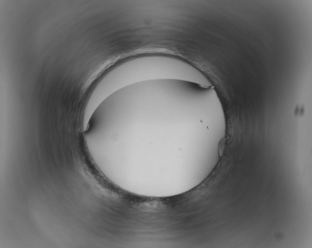 X0000110710112200907101253