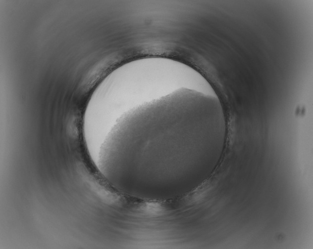 X0000110710114200907101253