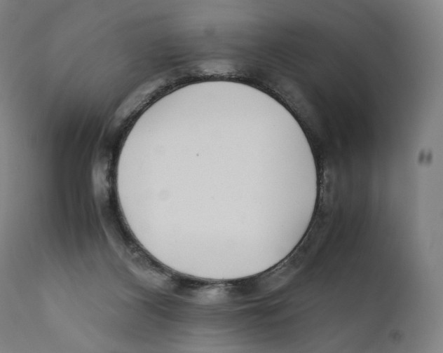 X0000110710116200907101253