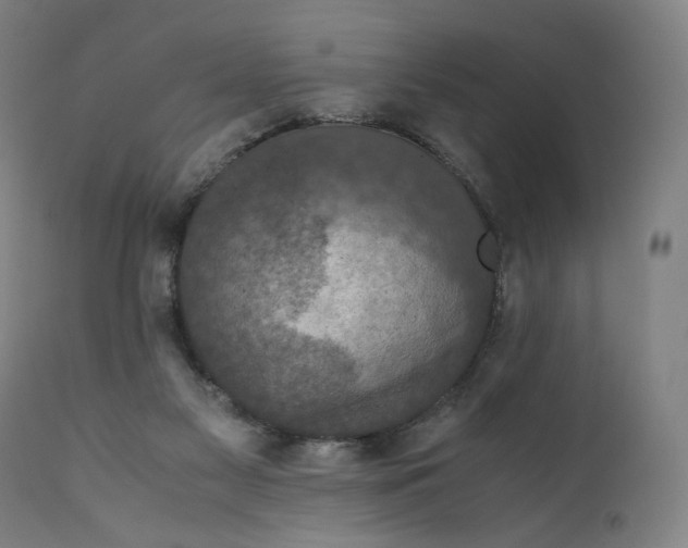 X0000110710117200907101253