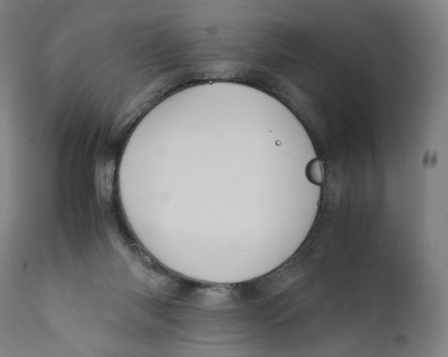 X0000110710118200907101253