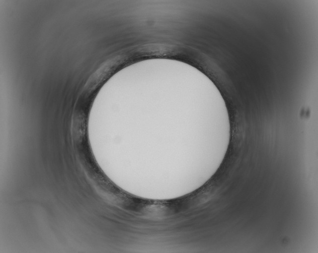 X0000110710119200907101253