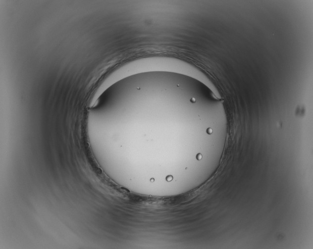 X0000110710120200907101253