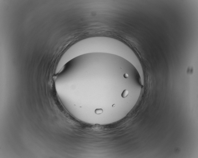 X0000110710121200907101253