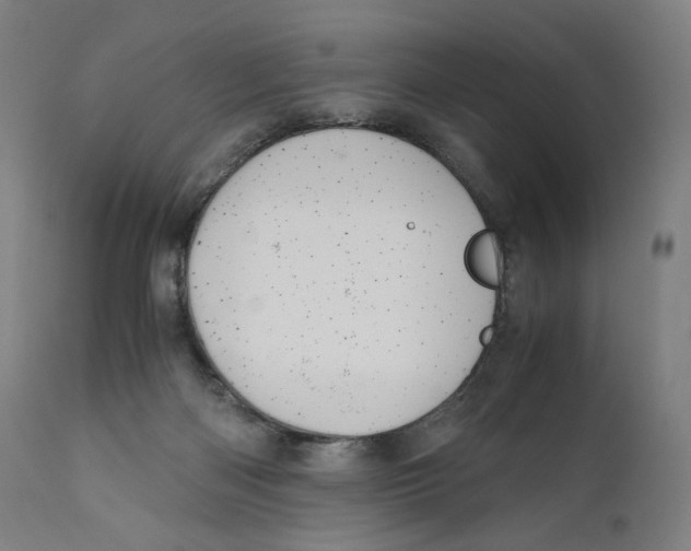 X0000110710122200907101253