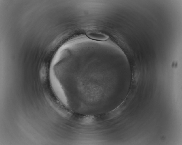 X0000110710124200907101253