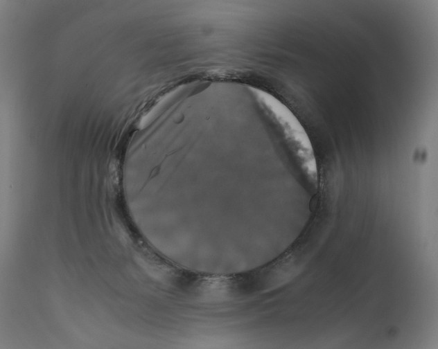 X0000110710127200907101253