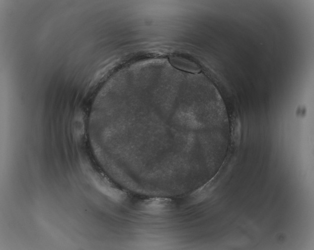 X0000110710128200907101253