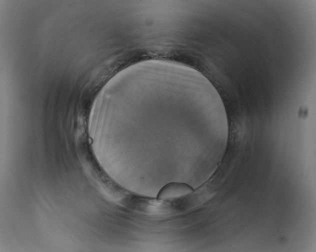 X0000110710130200907101253