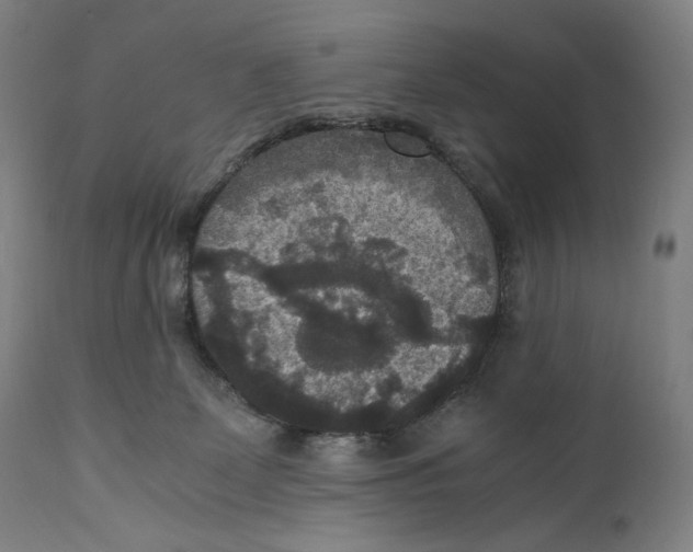 X0000110710131200907101253