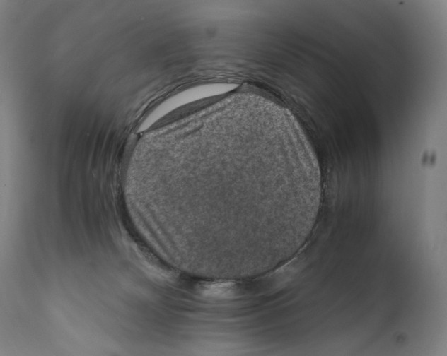 X0000110710132200907101253