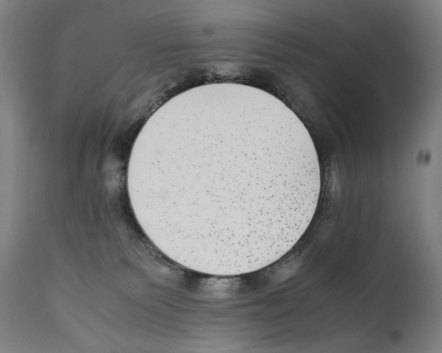 X0000110710135200907101253