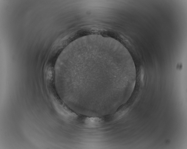X0000110710137200907101253