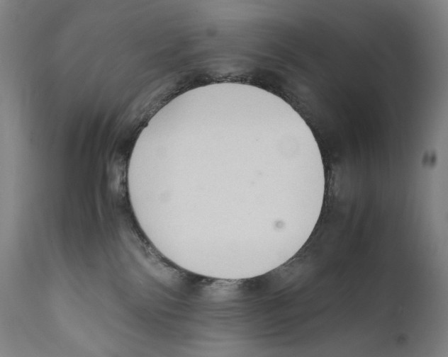 X0000110710138200907101253