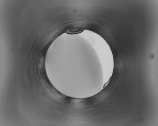 X0000110710139200907101253