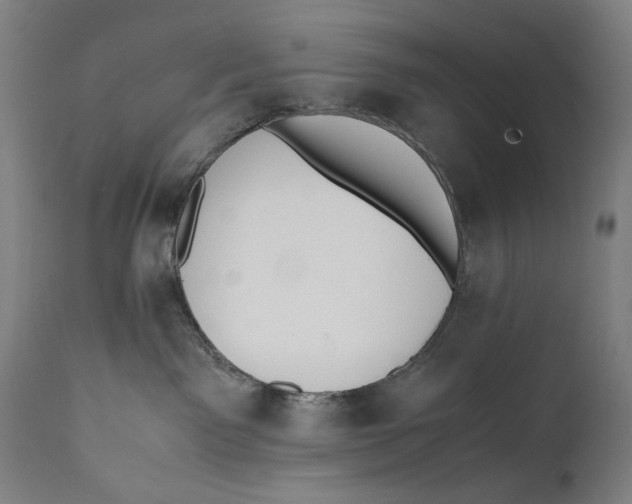 X0000110710141200907101253