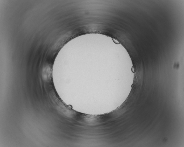 X0000110710142200907101253
