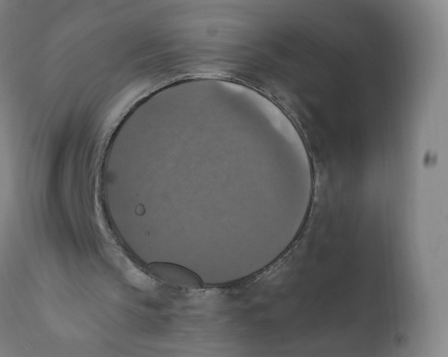 X0000110710145200907101252