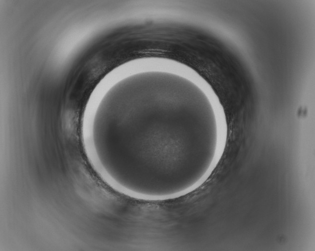 X0000110710146200907101252
