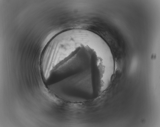 X0000110710147200907101252