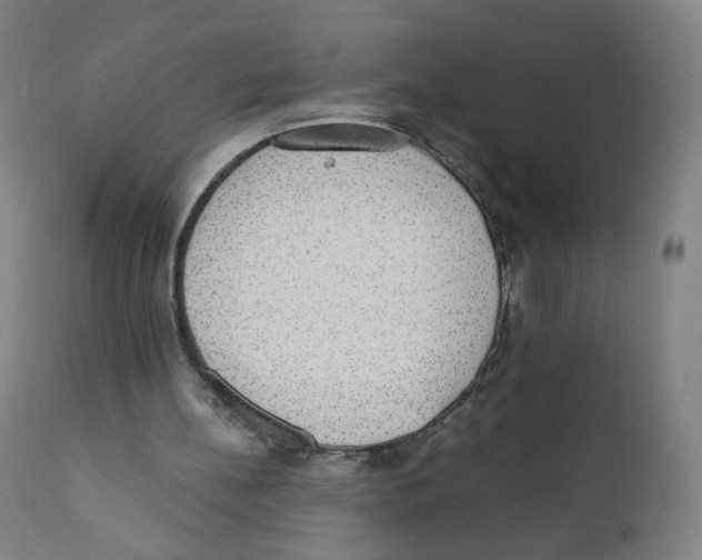 X0000110710148200907101252