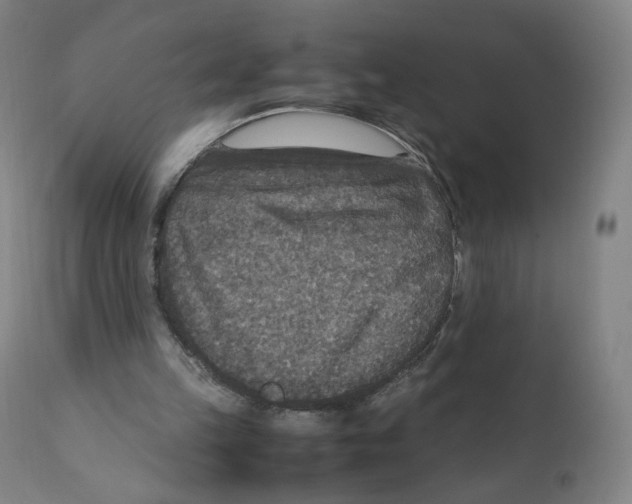 X0000110710149200907101252