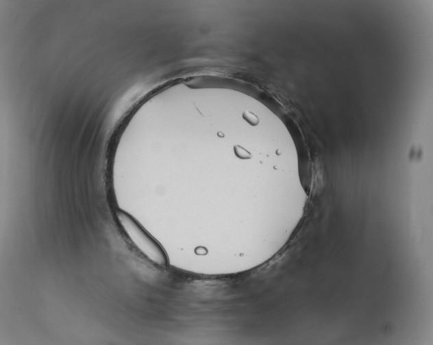 X0000110710150200907101252