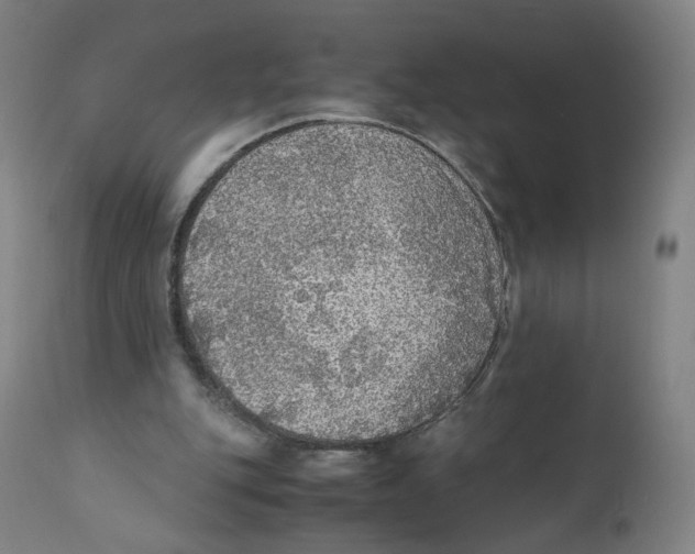 X0000110710151200907101252