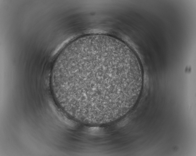 X0000110710153200907101252