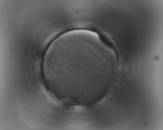 X0000110710154200907101252