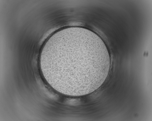 X0000110710155200907101252