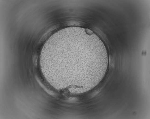 X0000110710157200907101252